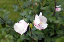 stuebbeker_impressionen_27