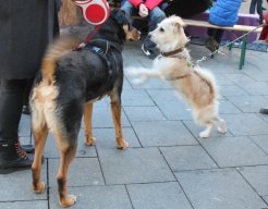 Weihnachten in Iserlohn